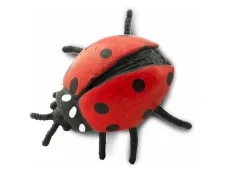 Miniatura - Beruška 1ks