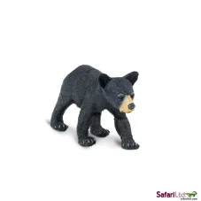 Mládě medvěda baribala