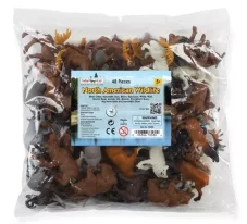 Zvířata Severní Ameriky