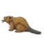 Safari Ltd. Figurka - Bobr