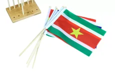 Vlajky Jižní Ameriky