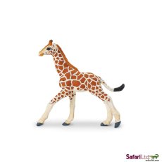 Safari Ltd. Mládě žirafy síťované