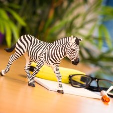 Safari Ltd. Figurka - Zebra