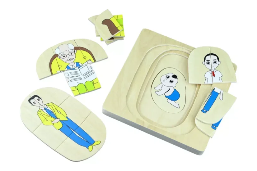 Životní vývoj muže