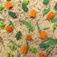 Dýňová farma- 500g - kreativní mix