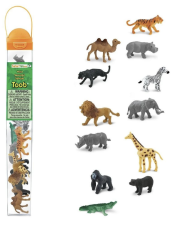 safari safari safari safari