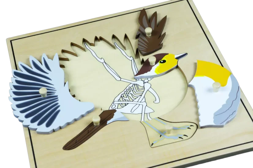 Puzzle s kostrou - pták