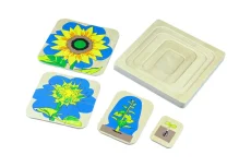 Životní cyklus květiny