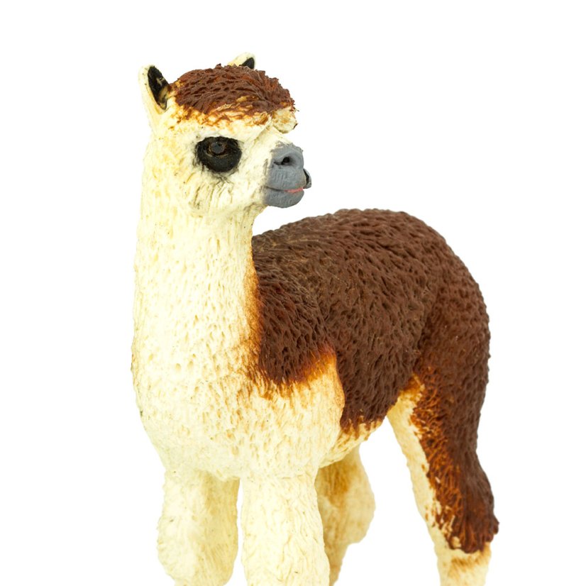 Alpaka