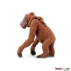 Orangutan s mládětem