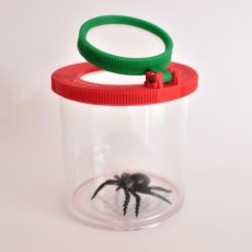 Dóza na brouky s lupou