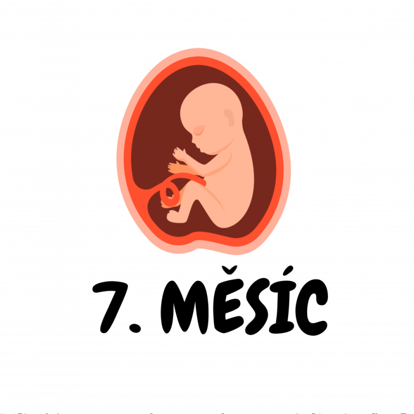 Těhotenské milníkové kartičky