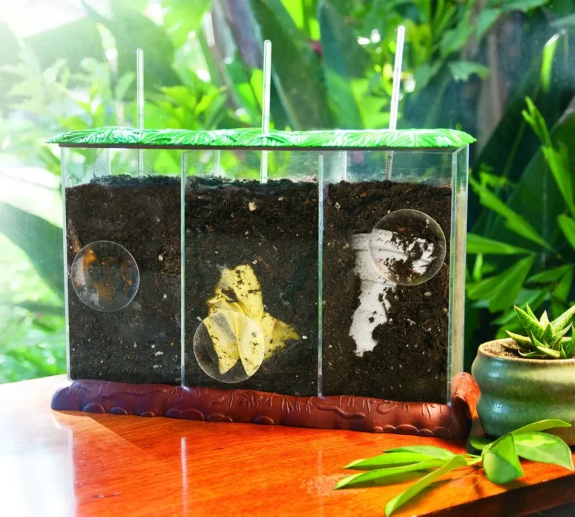 Pozorovací kompostér