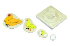 Životní cyklus kuřete