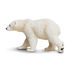 Medvěd lední