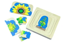 Životní cyklus květiny