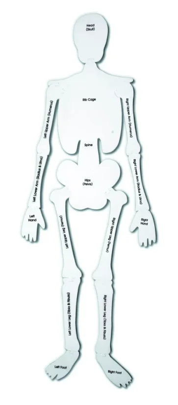 Pěnová puzzle kostra