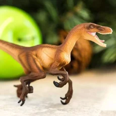 Velociraptor