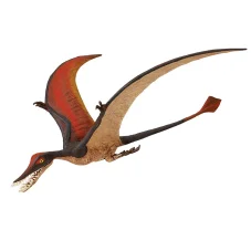 Ramphorhynchus