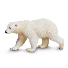 Medvěd lední