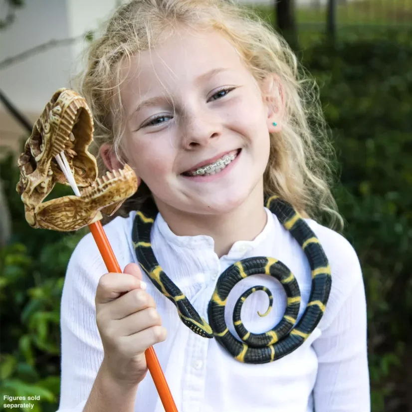 Korálovka pruhovaná