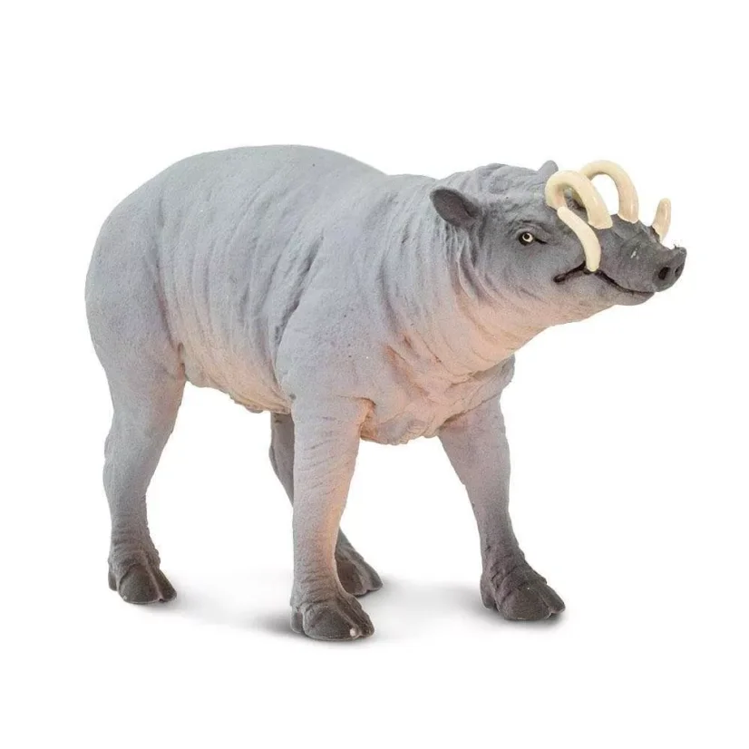 Babirusa