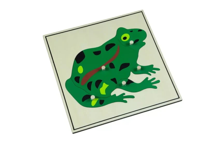 Puzzle - žába