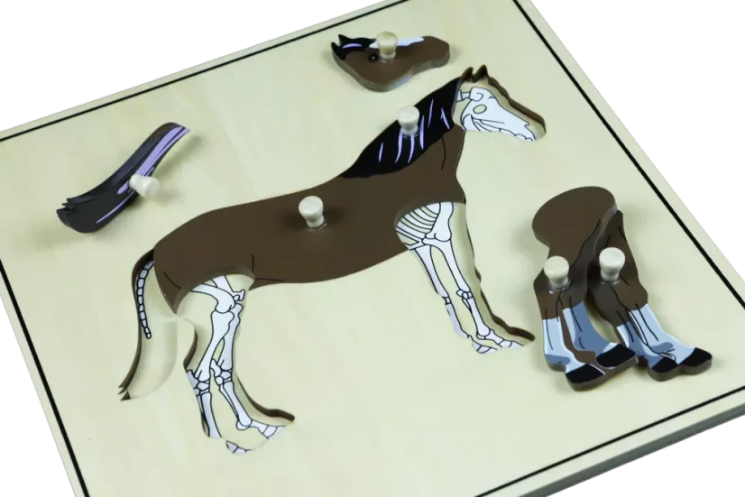 Puzzle s kostrou - kůň