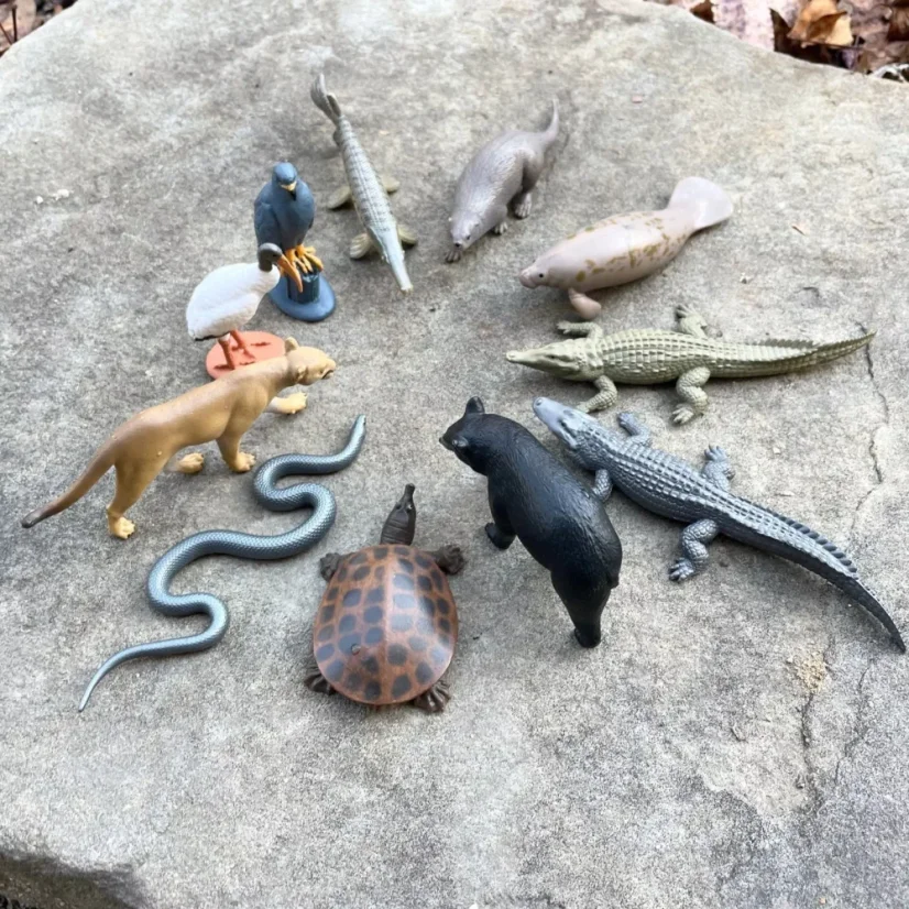 Safari Ltd. Tuba - Národní park Everglades