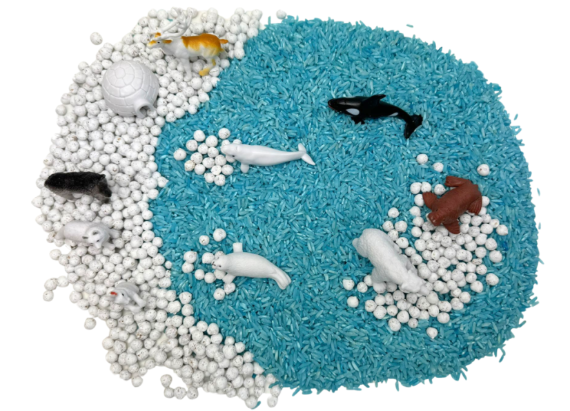 Kreativní dóza Arktida