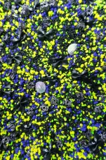 Pavučiny hrůzy - 500g - kreativní mix