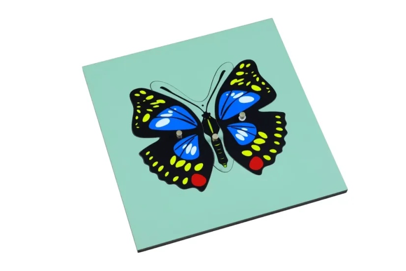 Puzzle - motýl