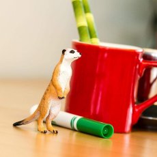 Safari Ltd. Figurka - Surikata