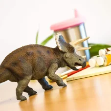 Triceratops