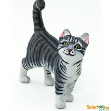 Mainská mývalí kočka