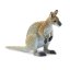 Safari Ltd. Figurka - Klokan (Wallaby)