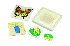 Životní cyklus motýla