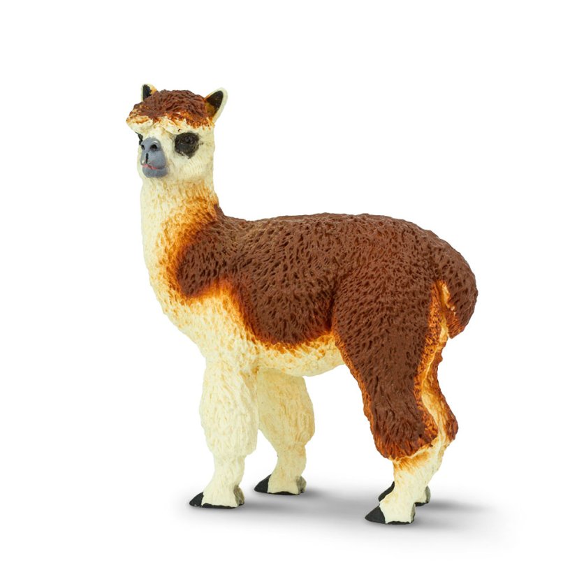 Alpaka