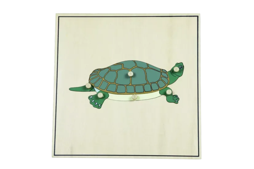 Puzzle s kostrou - želva