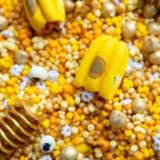 Včelí království - 500g - kreativní mix