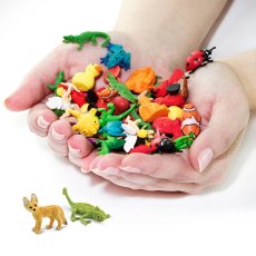 Miniatura - Chameleon 1ks