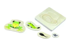 Životní cyklus žáby