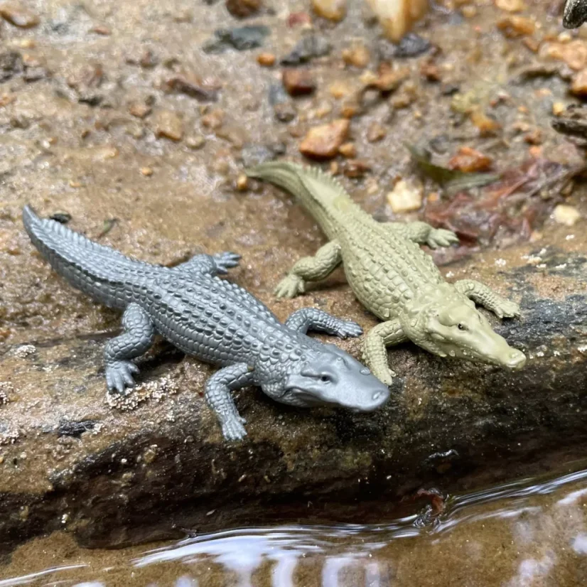 Safari Ltd. Tuba - Národní park Everglades