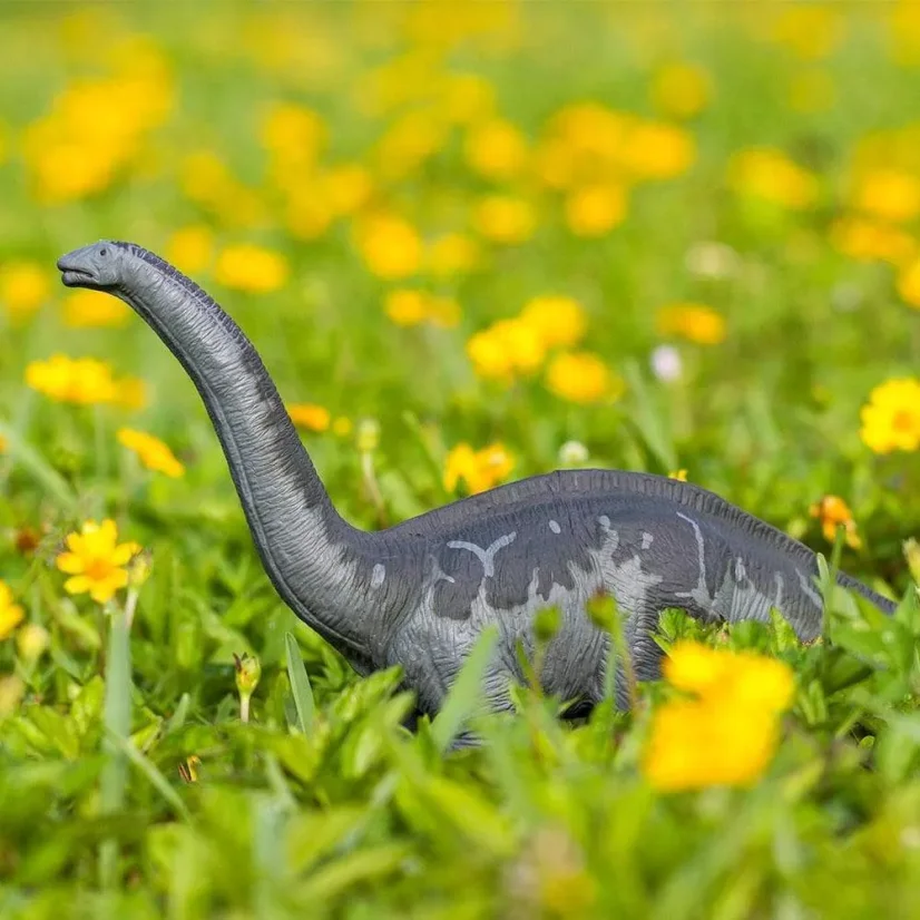 Apatosaurus