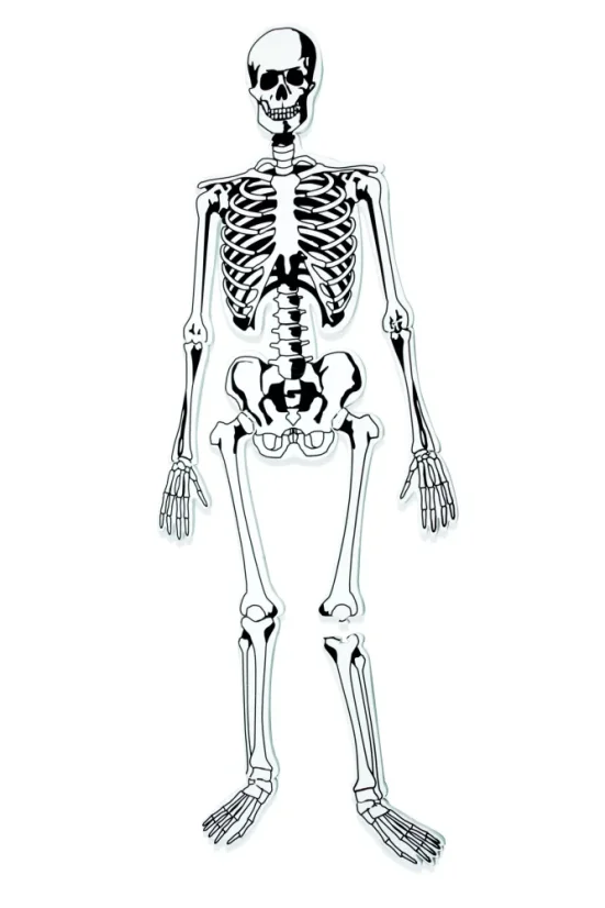 Pěnová puzzle kostra