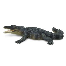 Krokodýl