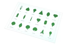 Tvary listů (karta)