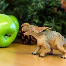 Einiosaurus