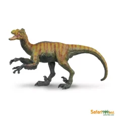Velociraptor