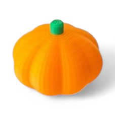 Miniatura - Dýně